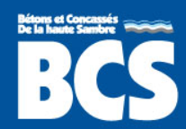 Logo BCS.PNG