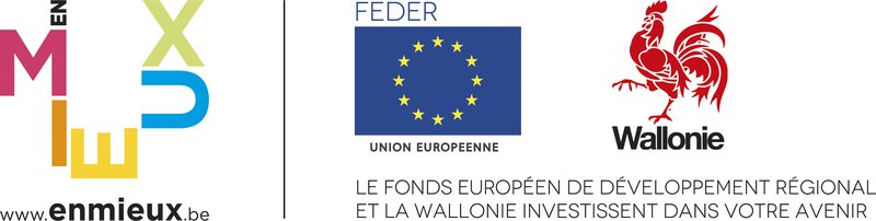 logo_FEDER+wallonie.jpg